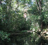 Misty Mountains Wilderness Walking Tracks - Hervey Bay Accommodation