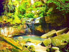 Carnarvon Gorge, Carnarvon National Park - Hervey Bay Accommodation 0