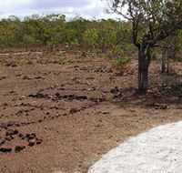 Wurrwurrwuy Garanhan Macassan Beach Interpretive Walk - Hervey Bay Accommodation