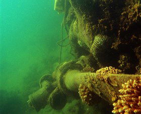 Wreck Diving At Magnetic Island - Tourism Hervey Bay 0