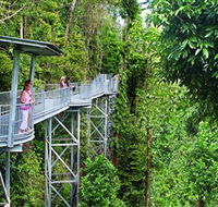 Mamu Tropical Skywalk - Hervey Bay Accommodation