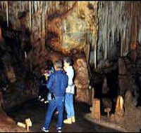 Tantanoola Caves Conservation Park - Hervey Bay Accommodation