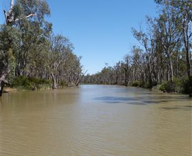 Wetlander Cruises - Hervey Bay Accommodation 3