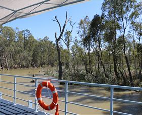 Wetlander Cruises - Hervey Bay Accommodation 6