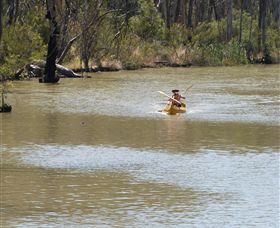 Wetlander Cruises - Hervey Bay Accommodation 5