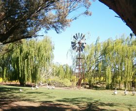 Simply Tomatoes - Hervey Bay Accommodation 7