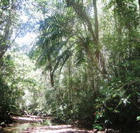 Mount Lewis National Park - Hervey Bay Accommodation