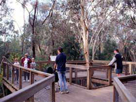 Valley Lake Conservation Park - Hervey Bay Accommodation 1