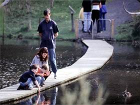 Valley Lake Conservation Park - Hervey Bay Accommodation 2