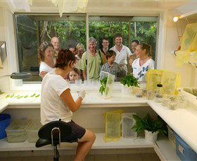 Australian Butterfly Sanctuary - Hervey Bay Accommodation 3