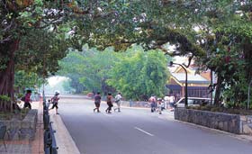 Kuranda - Village In The Rainforest - Hervey Bay Accommodation 1