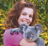 Kuranda Koala Gardens
