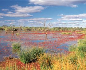 Adventure Way - Hervey Bay Accommodation 3