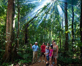 Mossman Gorge Centre - Tourism Hervey Bay 3