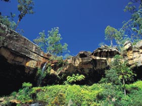 Blackdown Tableland National Park - Hervey Bay Accommodation 1