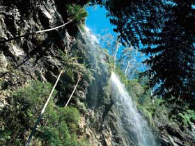 Blackdown Tableland National Park - Hervey Bay Accommodation 2