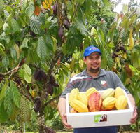 Sweet Farm Tours - Tourism Hervey Bay