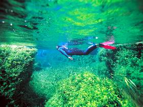 Piccaninnie Ponds Conservation Park - Hervey Bay Accommodation 0