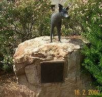 Dingo Statue - Hervey Bay Accommodation