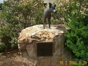 Dingo Statue - Hervey Bay Accommodation 0