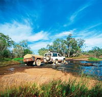 Rinyirru Lakefield National Park CYPAL - Hervey Bay Accommodation