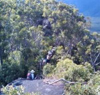 Mia Mia State Forest - Hervey Bay Accommodation