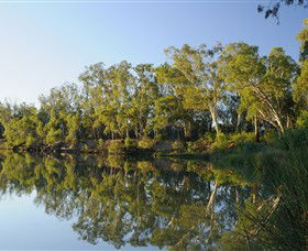 IWaterSki - Tourism Hervey Bay 0
