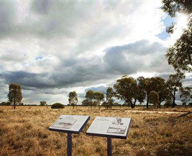 Backroads Trail - Hervey Bay Accommodation 2