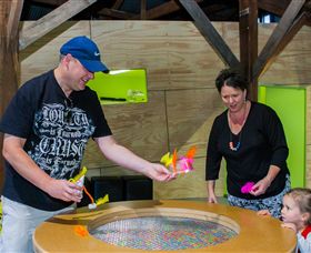 Twisted - Science At Play - Hervey Bay Accommodation 2