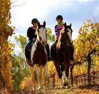 Billabong Ranch - Hervey Bay Accommodation