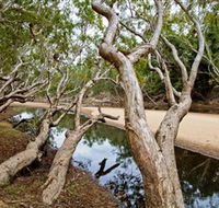 Oyala Thumotang National Park CYPAL - Hervey Bay Accommodation