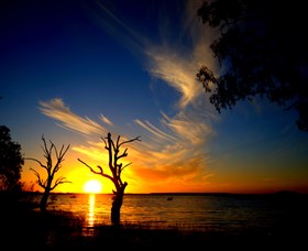 Lake Cowal - Hervey Bay Accommodation 0