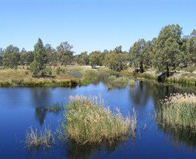 Narrandera Wetlands - Hervey Bay Accommodation 0