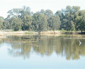 Narrandera Wetlands - Hervey Bay Accommodation 1