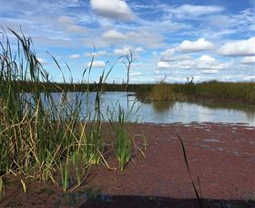 Gwydir Wetlands - Tourism Hervey Bay 0