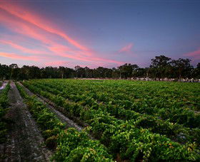 Amherst Winery - Hervey Bay Accommodation 0