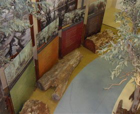 Barmah Forest Heritage And Education Centre - Hervey Bay Accommodation 4