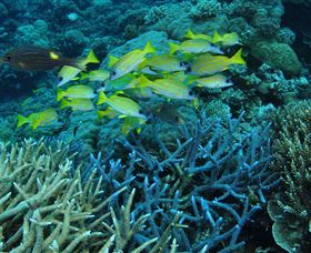 Port Douglas QLD Hervey Bay Accommodation