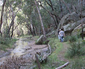 Pilliga Forest - Tourism Hervey Bay 3