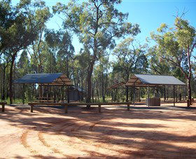 Pilliga Forest - Tourism Hervey Bay 6
