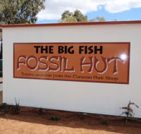 Big Fish Fossil Hut at Peak Hill - Hervey Bay Accommodation
