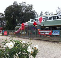 The Big Strawberry - Hervey Bay Accommodation