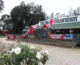 The Big Strawberry - Hervey Bay Accommodation 0