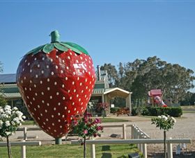 The Big Strawberry - Hervey Bay Accommodation 2