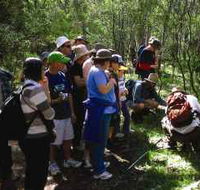 Warrumbungle National Park Discovery Program - Hervey Bay Accommodation