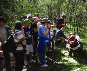 Warrumbungle National Park Discovery Program - Hervey Bay Accommodation 0
