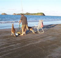 Cape Hillsborough National Park - Hervey Bay Accommodation