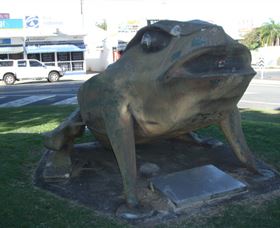 Big Cane Toad - Tourism Hervey Bay 0