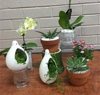 Cobram Florist - Hervey Bay Accommodation