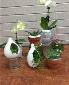 Cobram Florist - Hervey Bay Accommodation 0